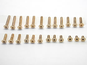 SSR-308G 24K Gold Plated Stainless Hex Countersunk Screw 3x8mm 6