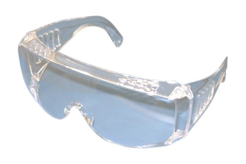 Pro Goggle S Clear (Kids Size)