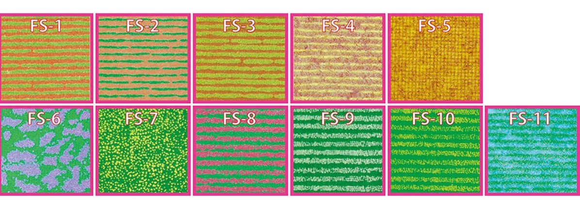 FS-01 Field Series : Spring Field (Field Sheet)