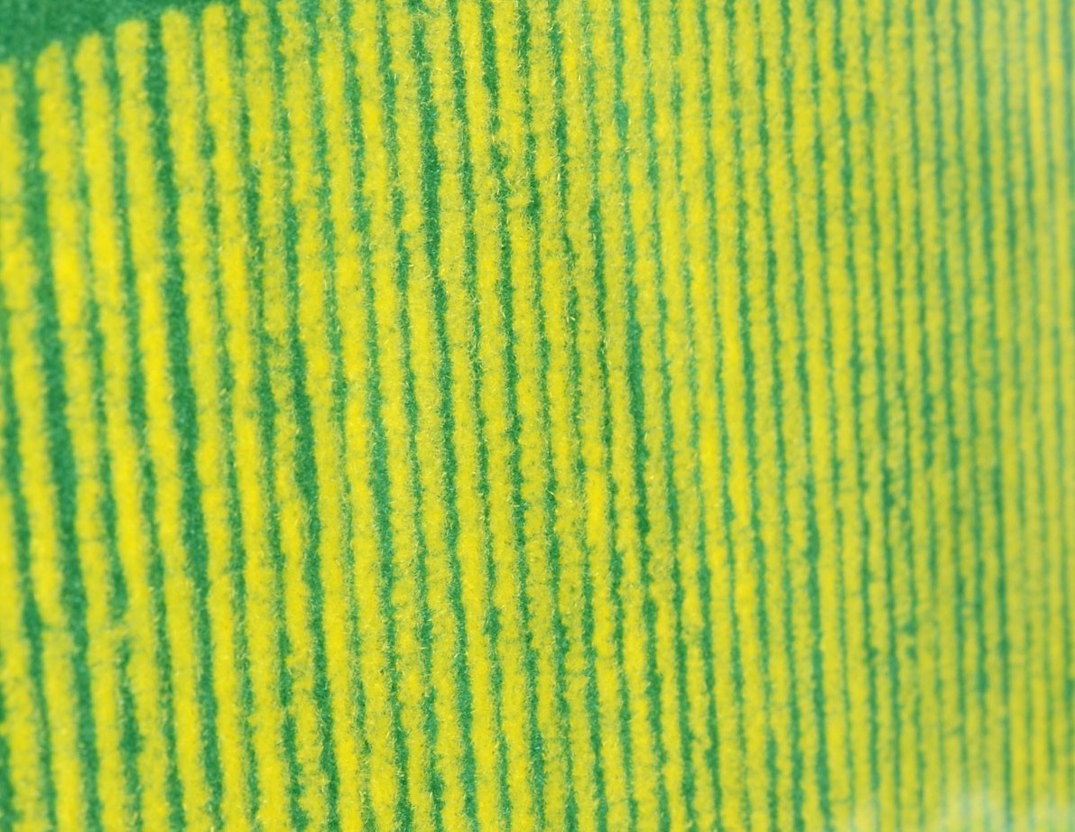 FS-10 Flower Garden & Paddy Series : Flower Garden (Yellow) (Fie